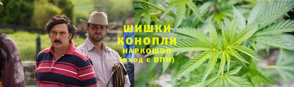 прущие грибы Абдулино