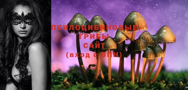 экстази Абаза