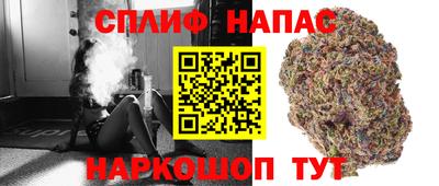 дмт Кинель