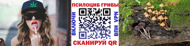 хочу наркоту  Вичуга  кракен ССЫЛКА  Галлюциногенные грибы прущие грибы 