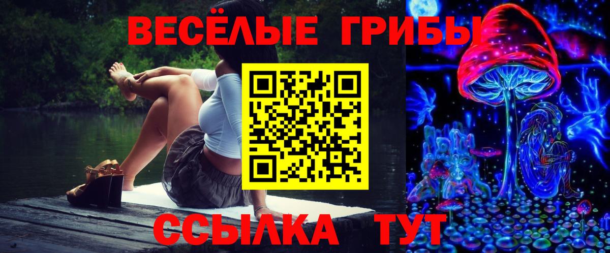 A-PVP Вичуга